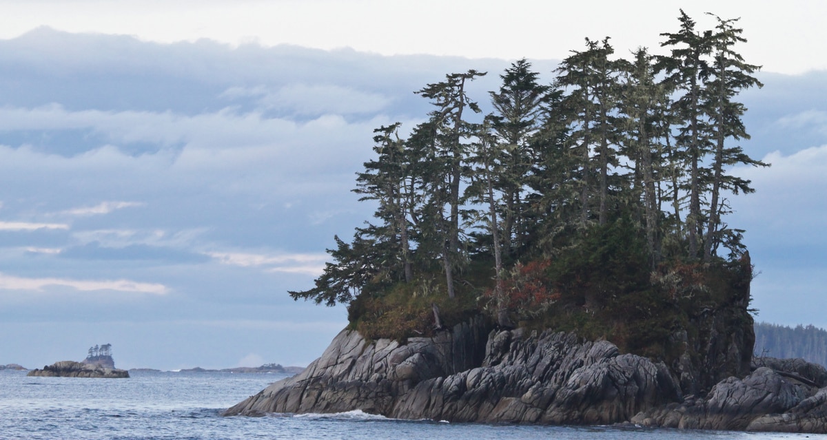Canada’s new nature strategy, explained: Q&A with MP Steven Guilbeault