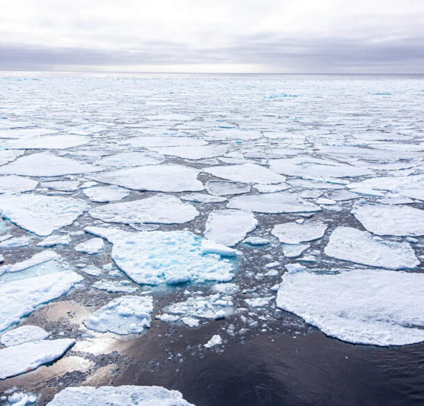sea ice on the Arctic ocean