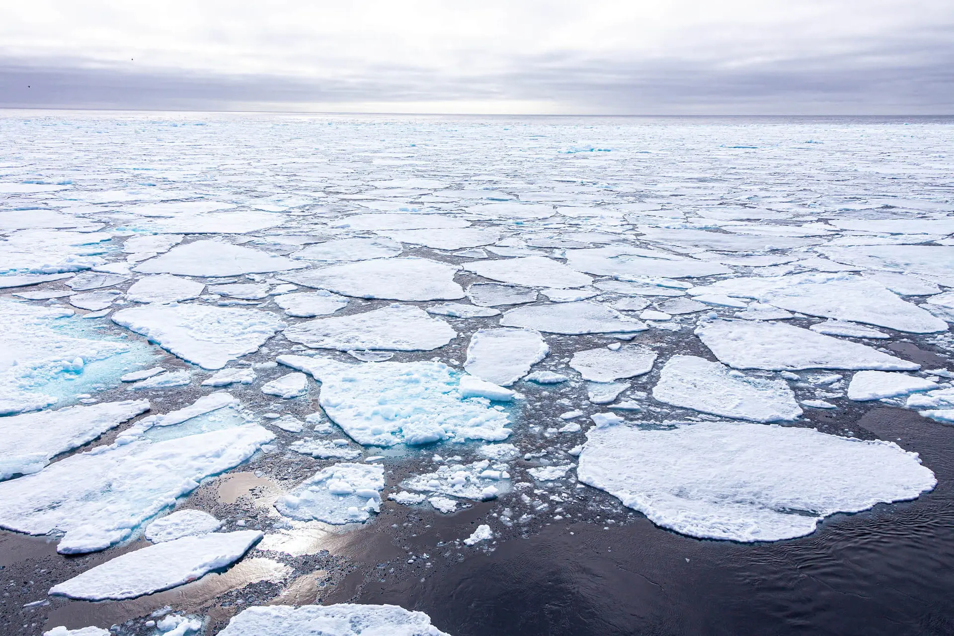 sea ice on the Arctic ocean