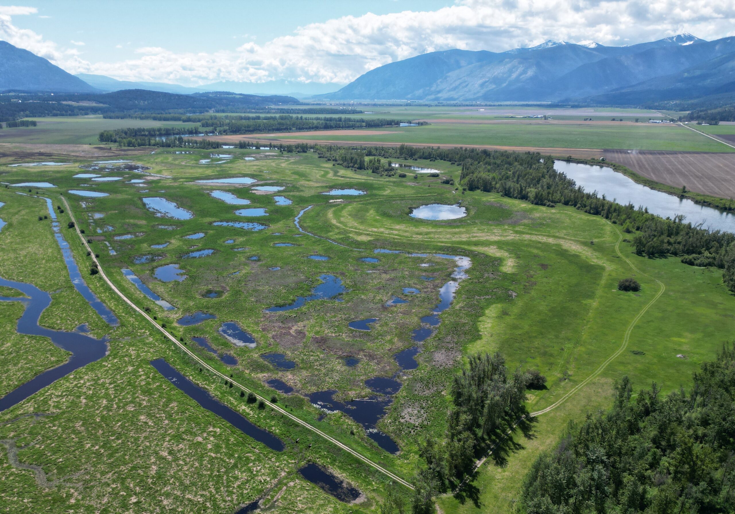 Norman Allard / Yaqan Nuʔkiy (Lower Kootenay Band)