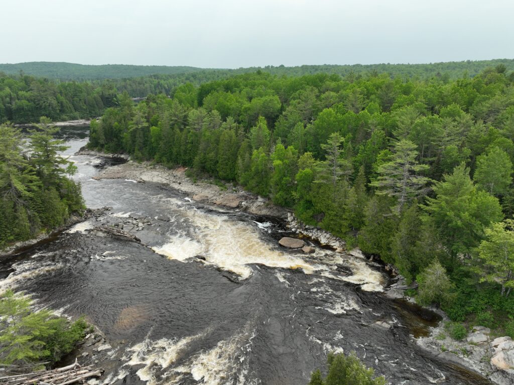 Rushing river through lush greenery