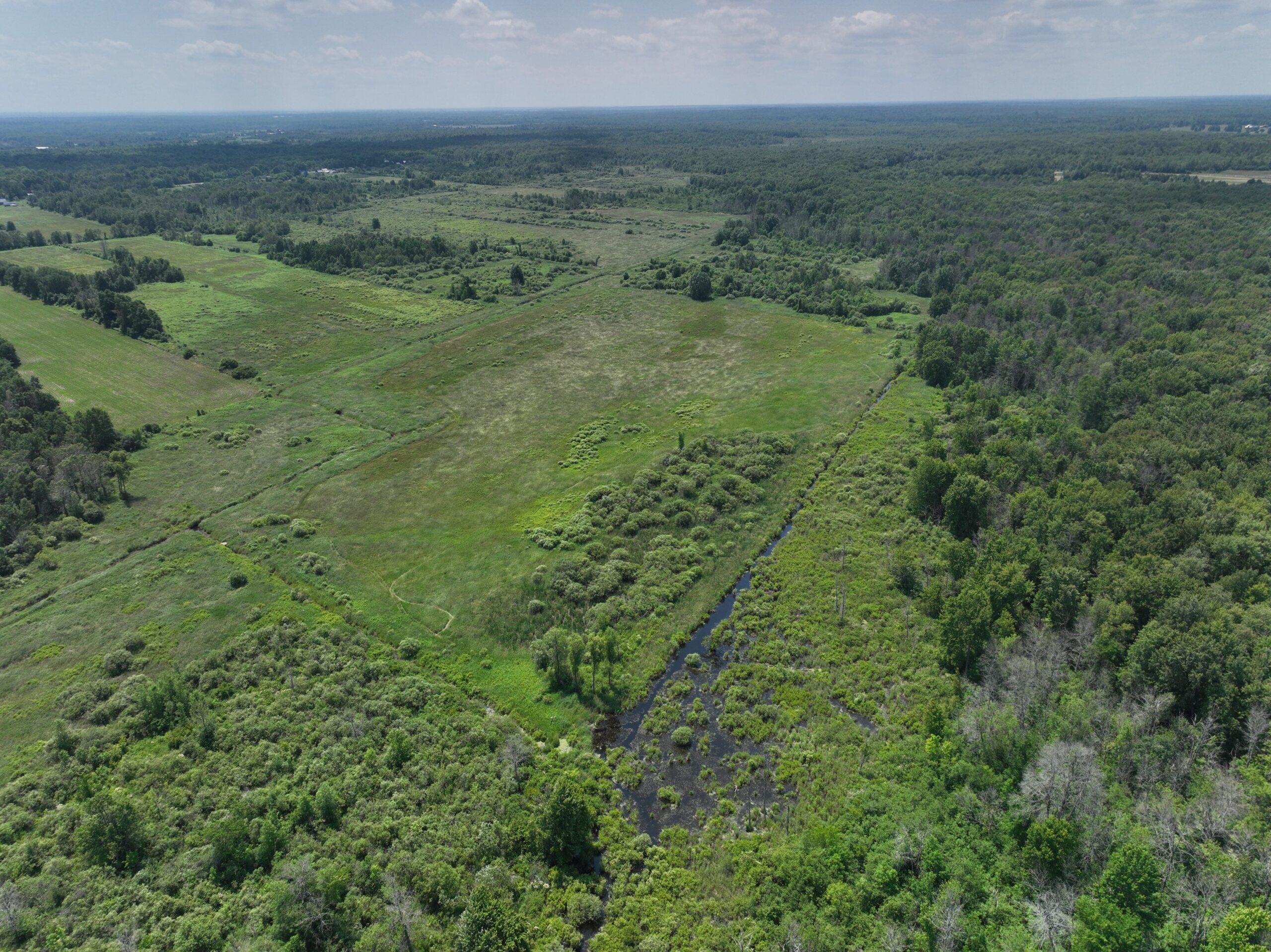 South Nation Conservation
