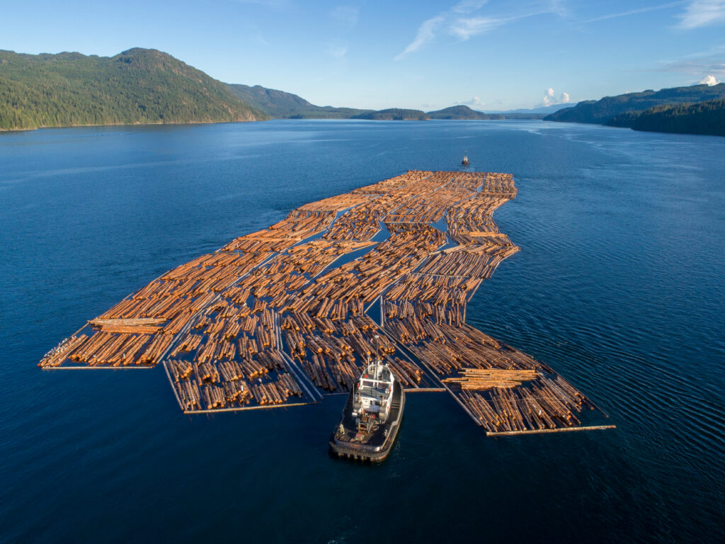 Aerial view of a tugboat pushing boom of freshly cut logs in a waterway between an island and the mainland