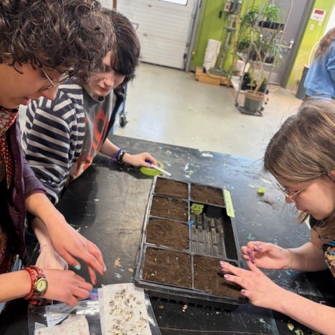 Three teenagers work at a table, removing seeds from envelopes and planting them in a shallow seed tray