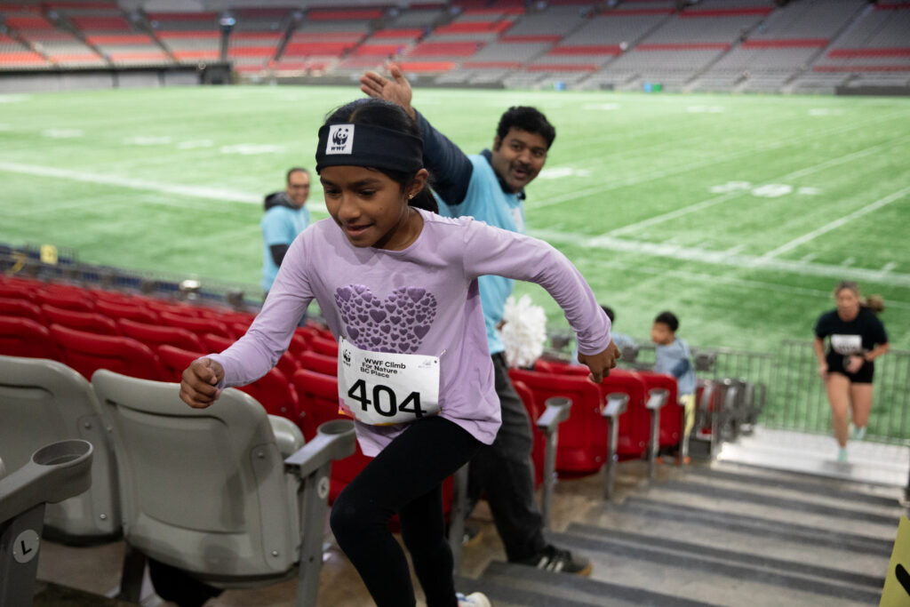 participants climbing around the stands of BC Place