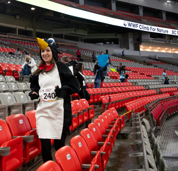 A Climb for Nature participant climbing the stands of BC Place dressed in a penguin costume